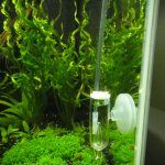発酵式Co2の拡散器